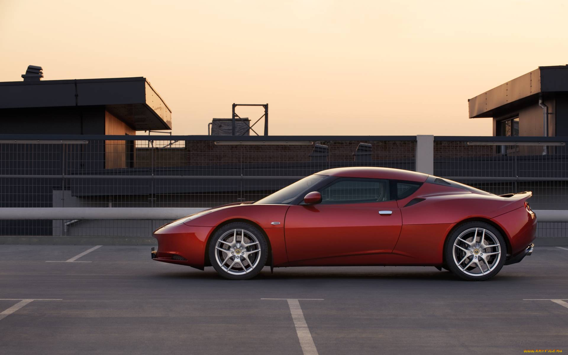 , lotus